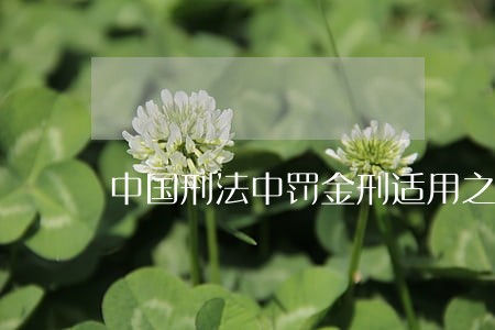 中国刑法中罚金刑适用之我见 中国刑法中罚金刑适用之我见
