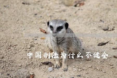 中国刑法为什么不健全 中国刑法为什么不健全