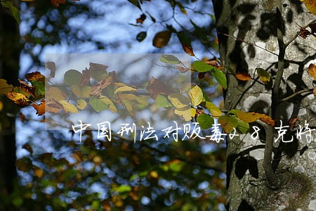 中国刑法对贩毒28克将如何判刑 中国刑法对贩毒28克将如何判刑