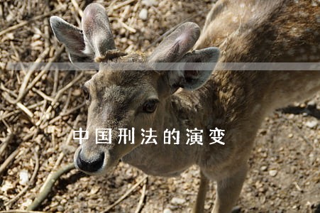 中国刑法的演变 中国刑法的演变