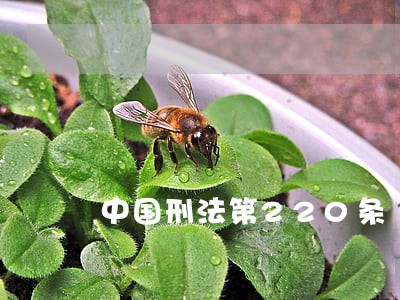中国刑法第220条 中国刑法第220条