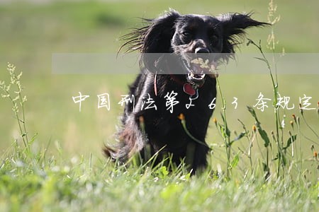 中国刑法第263条规定 中国刑法第263条规定