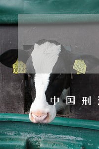 中国刑法第三百一十二条第一款 中国刑法第三百一十二条第一款