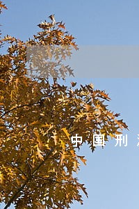 中国刑法罪名体系