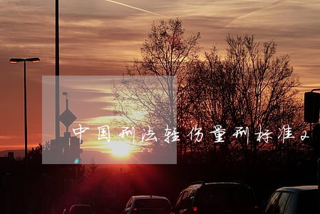 中国刑法轻伤量刑标准202 中国刑法轻伤量刑标准202