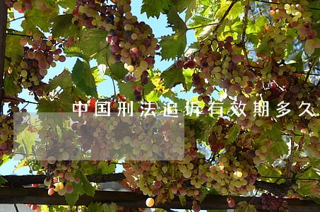 中国刑法追诉有效期多久 中国刑法追诉有效期多久