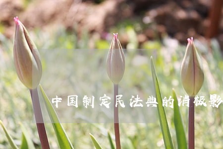 中国制定民法典的消极影响 中国制定民法典的消极影响