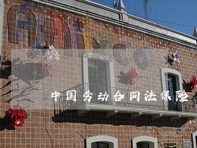 中国劳动合同法保险 中国劳动合同法保险