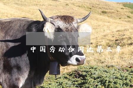 中国劳动合同法第三章 中国劳动合同法第三章