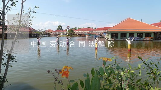 中国劳动合同法解除
