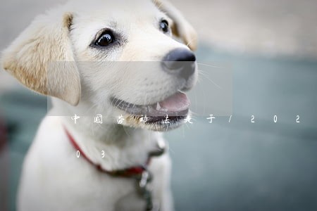 中国劳动法是于/2023021383503 中国劳动法是于/2023021383503