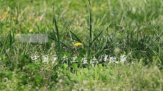 中国医疗卫生法律改革