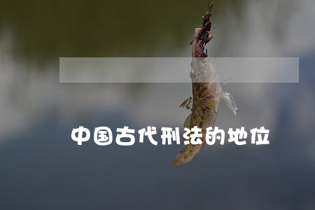 中国古代刑法的地位 中国古代刑法的地位