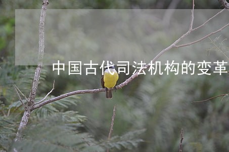 中国古代司法机构的变革 中国古代司法机构的变革
