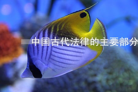 中国古代法律的主要部分是