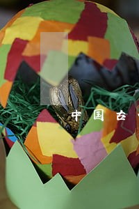 中国古代的变态刑法 中国古代的变态刑法