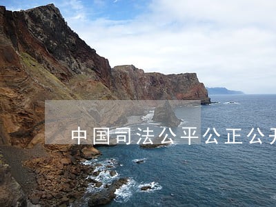 中国司法公平公正公开 中国司法公平公正公开