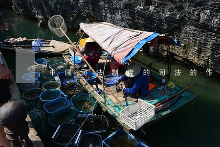 中国司法制度的司法的作用