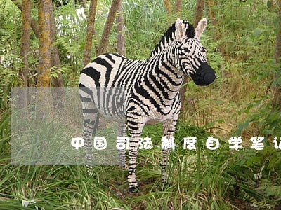 中国司法制度自学笔记0927 中国司法制度自学笔记0927