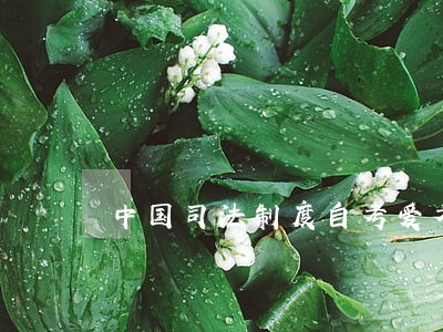 中国司法制度自考爱考题 中国司法制度自考爱考题