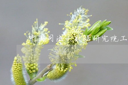 中国司法大数据研究院工资待遇 中国司法大数据研究院工资待遇