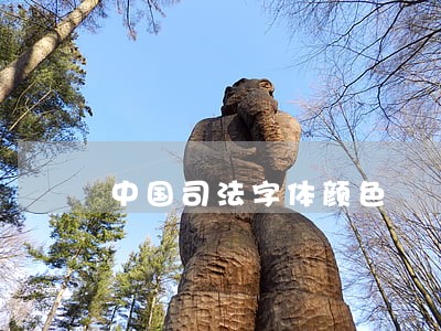 中国司法字体颜色 中国司法字体颜色