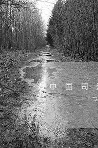 中国司法学院是二本