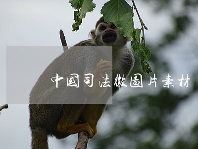 中国司法徽图片素材