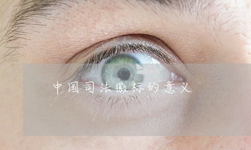 中国司法徽标的意义