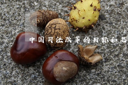 中国司法改革的目标和思路 中国司法改革的目标和思路