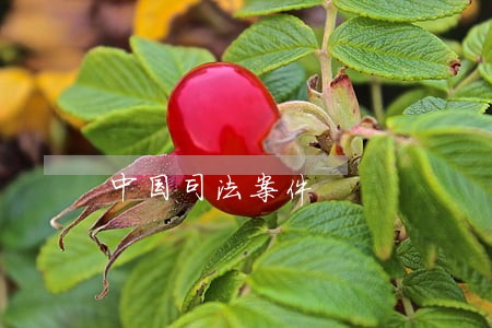 中国司法案件 中国司法案件