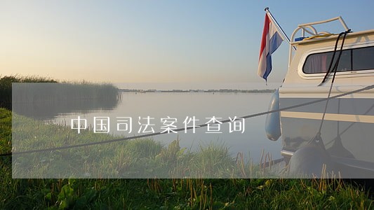 中国司法案件查询