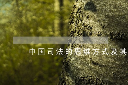 中国司法的思维方式及其文化特征 中国司法的思维方式及其文化特征