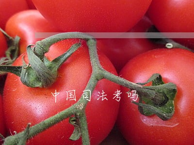 中国司法考吗