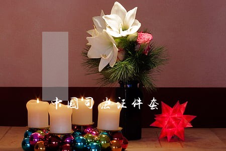 中国司法证件套 中国司法证件套