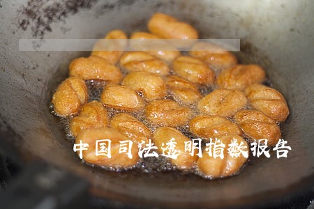 中国司法透明指数报告 中国司法透明指数报告