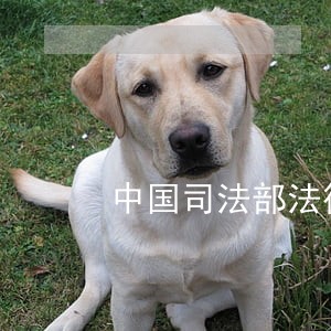 中国司法部法律资格申请表