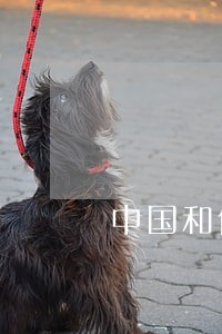 中国和俄罗斯刑法的区别 中国和俄罗斯刑法的区别