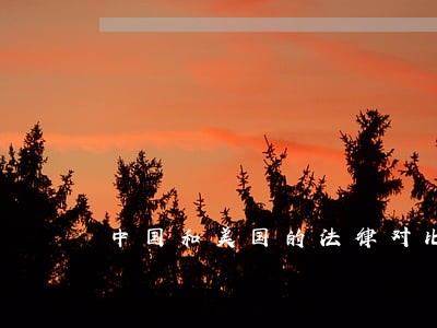 中国和美国的法律对比