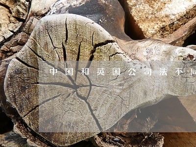 中国和英国公司法不同