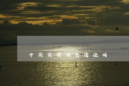 中国国旗做包违法吗 中国国旗做包违法吗