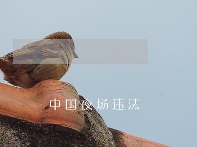 中国夜场违法 中国夜场违法