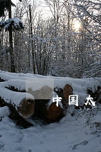 中国太平理财金逾期不返还 中国太平理财金逾期不返还