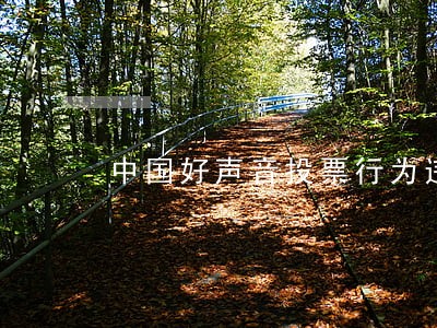 中国好声音投票行为违法吗