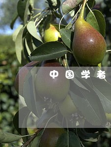 中国学者去美国法律风险 中国学者去美国法律风险