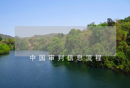 中国审判信息流程 中国审判信息流程