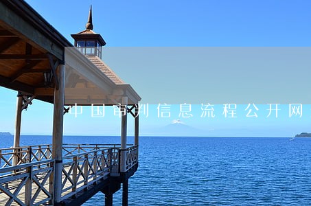 中国审判信息流程公开网查询网址 中国审判信息流程公开网查询网址