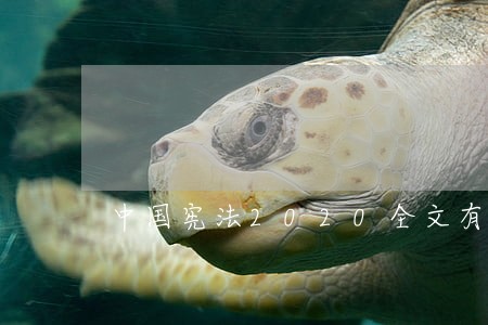 中国宪法2020全文有哪些内容 中国宪法2020全文有哪些内容