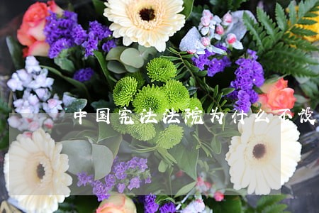 中国宪法法院为什么不设立 中国宪法法院为什么不设立