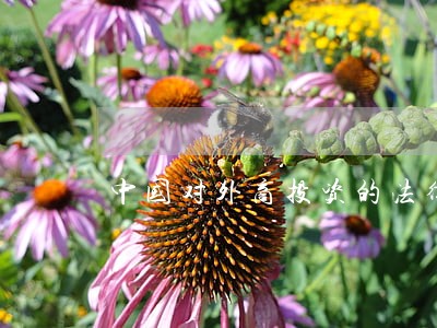 中国对外商投资的法律及政策 中国对外商投资的法律及政策